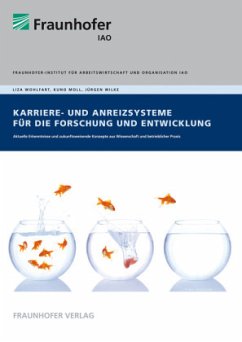 Cover Karriere- und Anreizsysteme in Forschungs- und Entwicklungsbereichen.