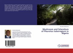 Mushroom and Sclerotium of Pleurotus tuberregium in Nigeria