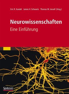 Neurowissenschaften - Kandel, Eric R.;Schwartz, James H.;Jessell, Thomas M.