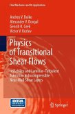 Physics of Transitional Shear Flows