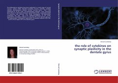 the role of cytokines on synaptic plasticity in the dentate gyrus