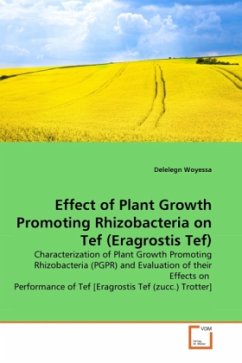 EFFECT OF PLANT GROWTH PROMOTING RHIZOBACTERIA ON TEF (ERAGROSTIS TEF) - Woyessa, Delelegn