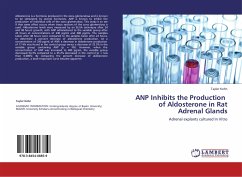 ANP Inhibits the Production of Aldosterone in Rat Adrenal Glands