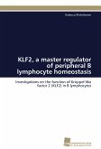 KLF2, a master regulator of peripheral B lymphocyte homeostasis