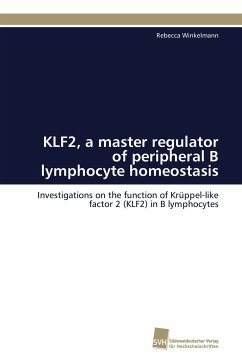 KLF2, a master regulator of peripheral B lymphocyte homeostasis - Winkelmann, Rebecca