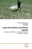 Lady bird beetle and Wheat Aphids