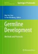 Germline Development - Bild 1