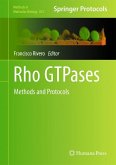 Rho GTPases