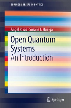 Open Quantum Systems - Rivas, Ángel;Huelga, Susana F.
