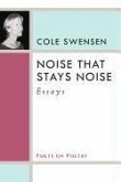 Noise That Stays Noise: Essays