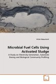 Microbial Fuel Cells Using Activated Sludge
