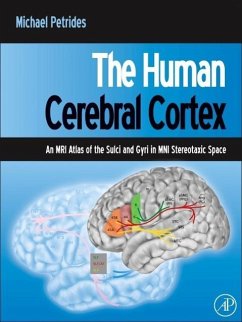 The Human Cerebral Cortex - Petrides, Michael