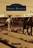 Spring Branch