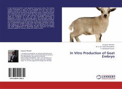 In Vitro Production of Goat Embryo