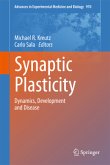 Synaptic Plasticity