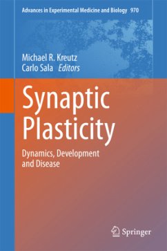 Synaptic Plasticity