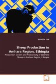 SHEEP PRODUCTION IN AMHARA REGION, ETHIOPIA
