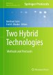 Two Hybrid Technologies - Bild 1