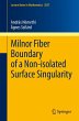 Milnor Fiber Boundary of a Non-isolated... - Bild 1