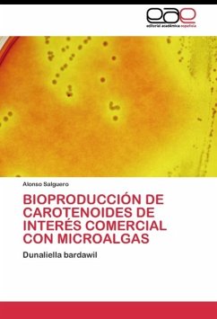 Bioproducción de carotenoides de interés comercial con microalgas - Salguero, Alonso