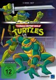Teenage Mutant Hero Turtles - Box 1