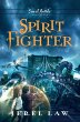 Spirit Fighter - Bild 1