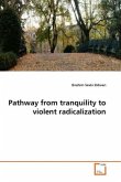 Pathway from tranquility to violent radicalization