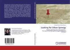 Cover Looking for Urban Synergy