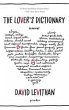 Lover's Dictionary - Bild 1