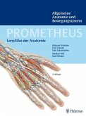 Allgemeine Anatomie und Bewegungssystem / Prometheus