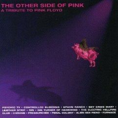 Other Side Of Pink - Diverse