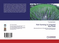Fish Farming in Irrigated Rice Field