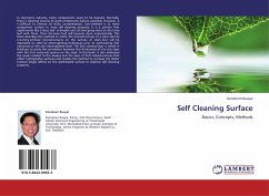 Self Cleaning Surface