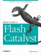 Quick Guide to Flash Catalyst - Bild 1
