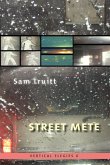 Vertical Elegies 6: Street Mete