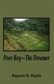 Poor Boy - The Dreamer