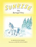 Sunrise the Barnegat Pony