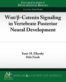 Wnt/ -Catenin Signaling in Vertebrate Posterior Neural Development