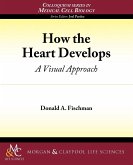 How the Heart Develops