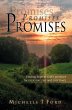 Promises, Promises, Promises - Bild 1