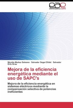 Mejora de la eficiencia energética mediante el uso de SAPC's - Muñoz Galeano, Nicolás;Seguí Chilet, Salvador;Orts Grau, Salvador