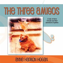 The Three Amigos - Hogan, Anne Harmon