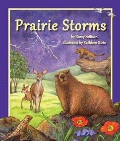 Prairie Storms - Pattison, Darcy