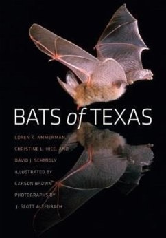 Bats of Texas - Ammerman, Loren K.; Hice, Christine L.; Schmidly, David J.