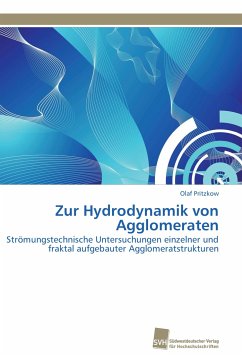 Zur Hydrodynamik von Agglomeraten - Pritzkow, Olaf