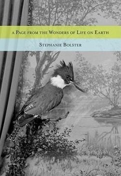 A Page from the Wonders of Life on Earth - Bolster, Stephanie