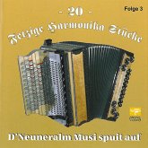 20 Fetzige Harmonika Stücke 3