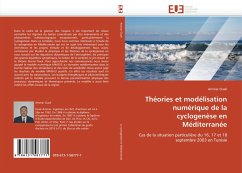 Théories et modélisation numérique de la cyclogenèse en Méditerranée - Ouali, Ammar