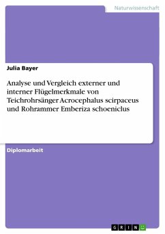 Analyse und Vergleich externer und interner Flügelmerkmale von Teichrohrsänger Acrocephalus scirpaceus und Rohrammer Emberiza schoeniclus - Bayer, Julia