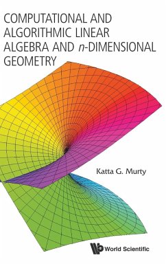 COMP & ALGORITH LNR ALGEB & N-DIMEN GEOM - Katta G Murty